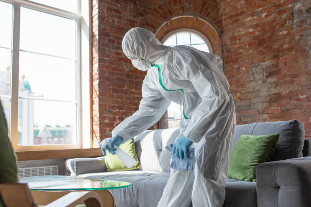 Reliable Panorama Village, TX Mold Removal Services Solutions